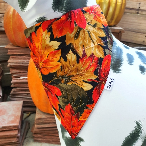 🐶 5 for $15 * Pablo Fall Autumn Leaves/Red Gold Dots Cotton Dog Bandana - Picture 6 of 9
